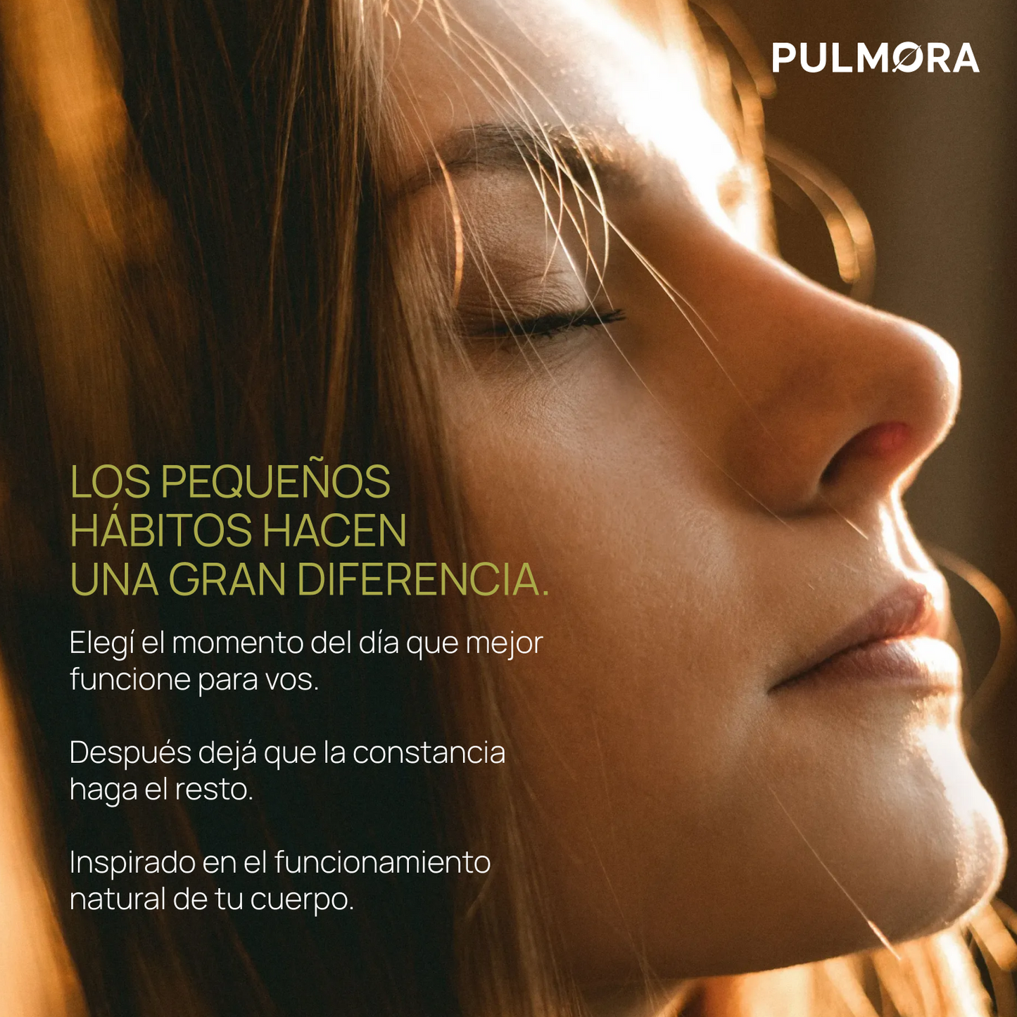 Gotas de Gordolobo con Clorofila