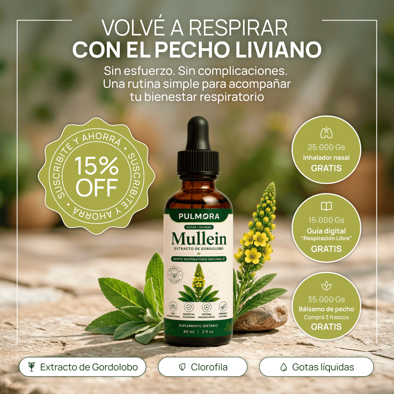 Gotas de Gordolobo con Clorofila